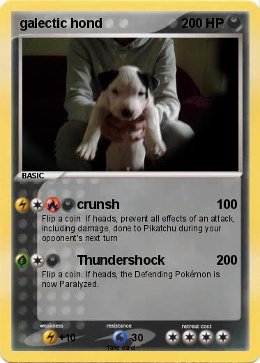Pokemon galectic hond