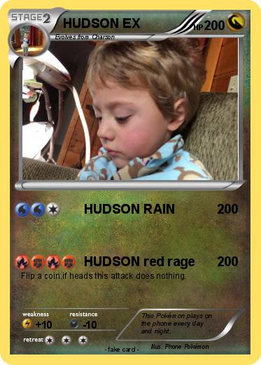Pokemon HUDSON EX