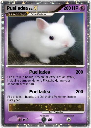 Pokemon Puelladea