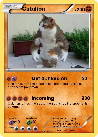 Pokemon Catulion