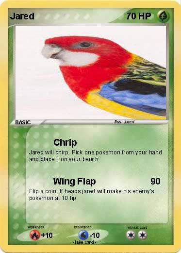 Pokemon Jared