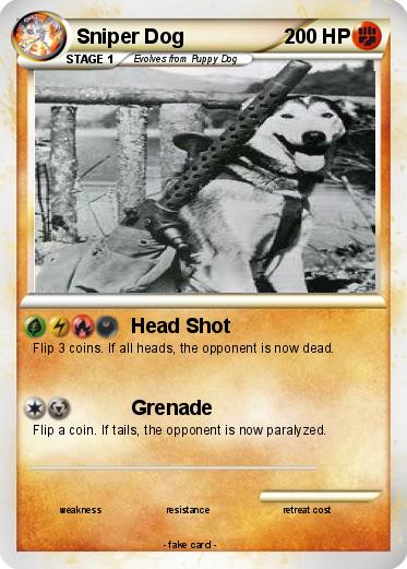 Pokemon Sniper Dog