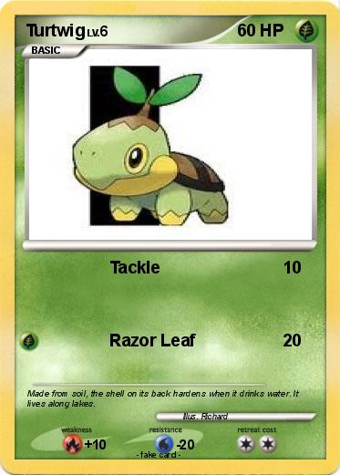 Pokemon Turtwig
