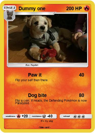 Pokemon Dummy one