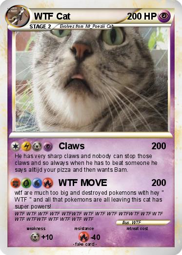 Pokemon WTF Cat