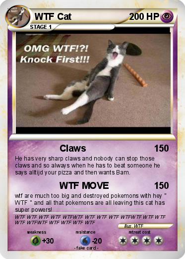Pokemon WTF Cat