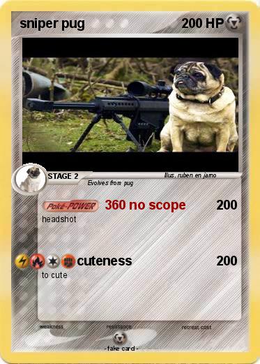 Pokemon sniper pug