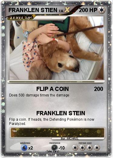 Pokemon FRANKLEN STIEN
