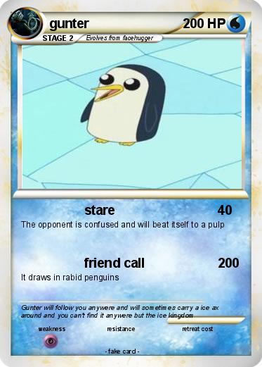 Pokemon gunter