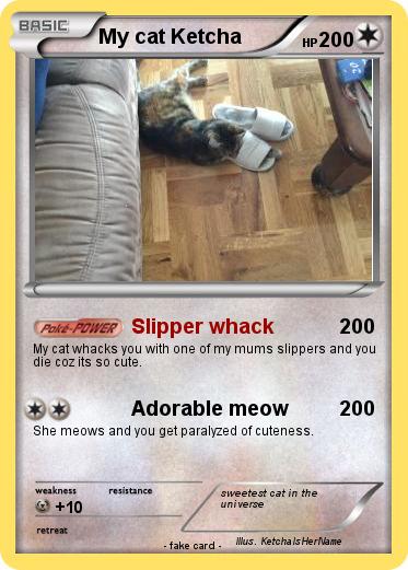 Pokemon My cat Ketcha