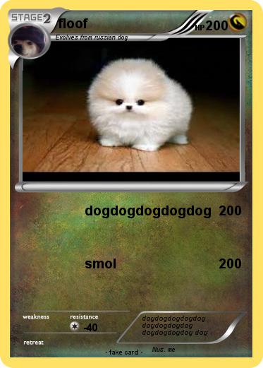 Pokemon floof