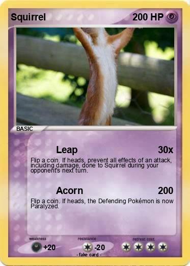 Pokemon Squirrel