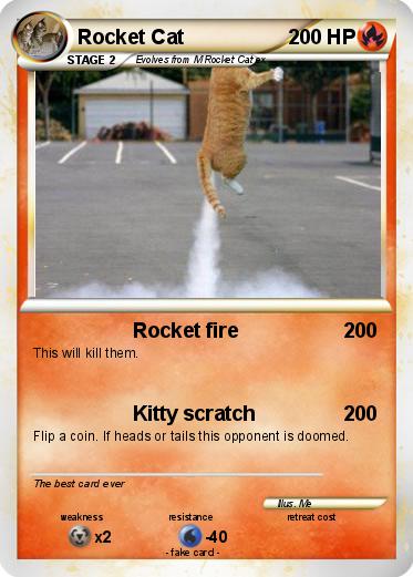 Pokemon Rocket Cat
