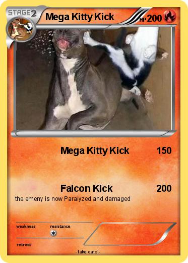 Pokemon Mega Kitty Kick