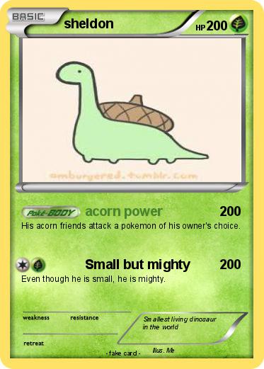 Pokemon sheldon