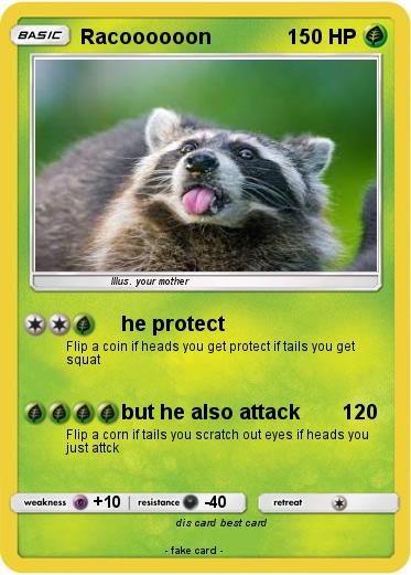 Pokemon Racoooooon