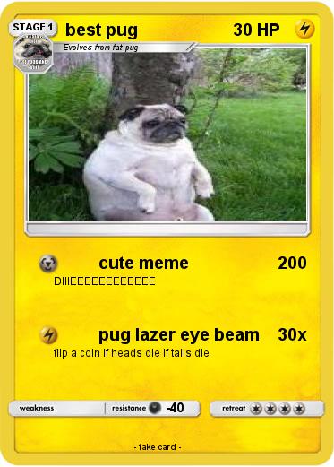 Pokemon best pug