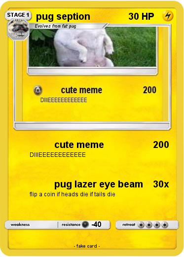 Pokemon pug seption