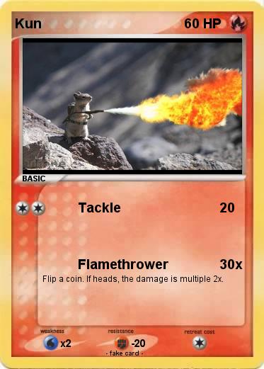 Pokemon Kun