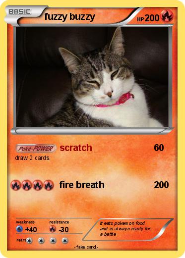 Pokemon fuzzy buzzy