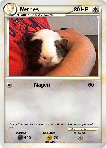 Pokemon Merries