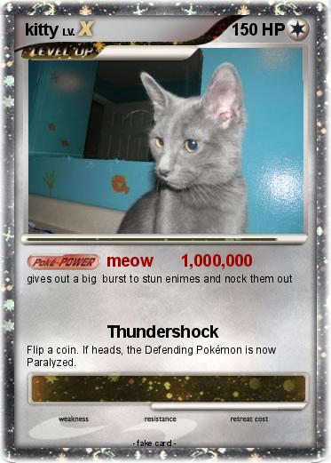 Pokemon kitty