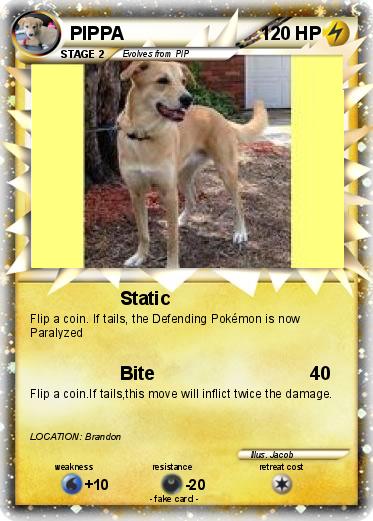Pokemon PIPPA