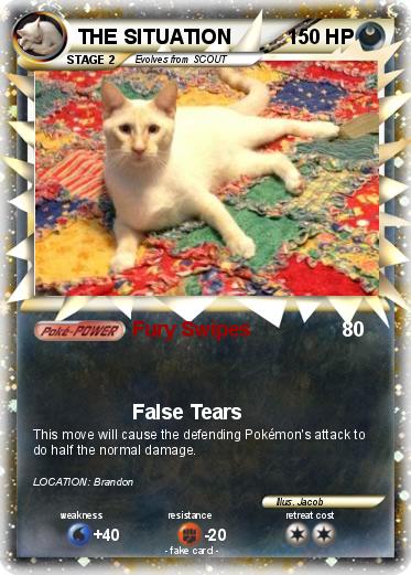 Pokemon THE SITUATION