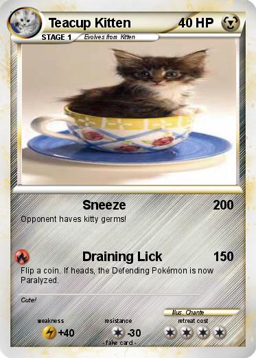 Pokemon Teacup Kitten