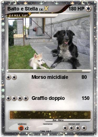 Pokemon Balto e Stella
