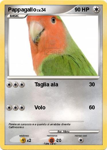 Pokemon Pappagallo
