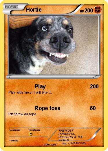 Pokemon Hortie