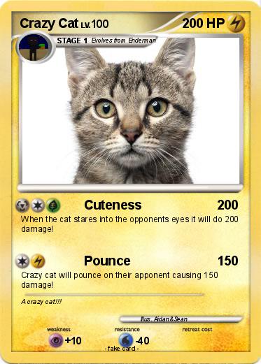Pokemon Crazy Cat