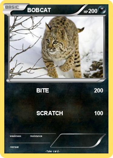 Pokemon BOBCAT