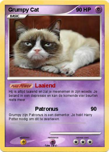 Pokemon Grumpy Cat
