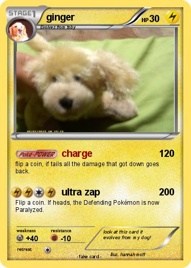 Pokemon ginger