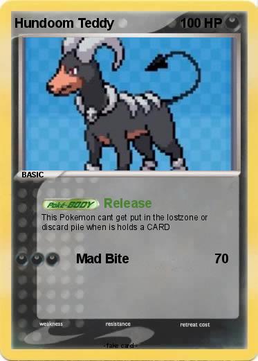Pokemon Hundoom Teddy