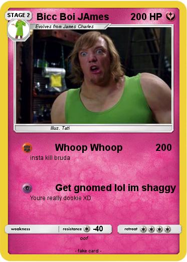 Pokemon Bicc Boi JAmes