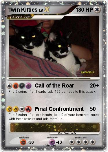 Pokemon Twin Kitties