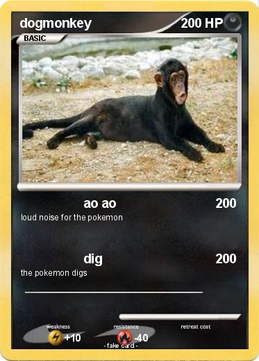 Pokemon dogmonkey