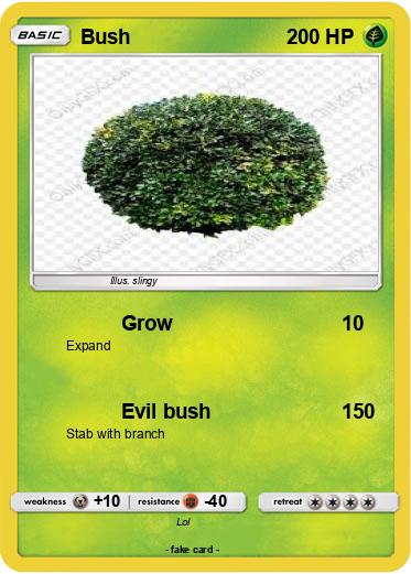 Pokemon Bush