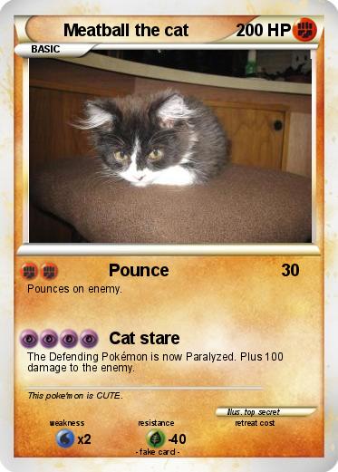 Pokemon Meatball the cat