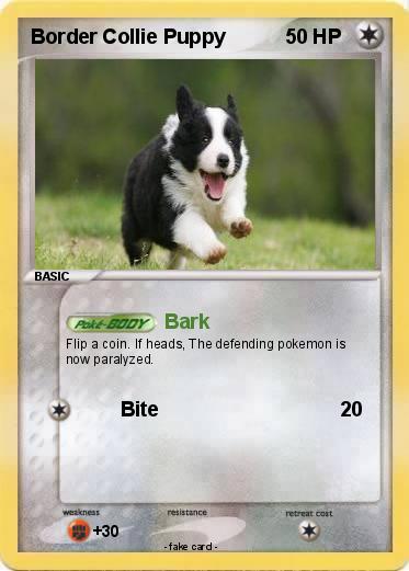 Pokemon Border Collie Puppy