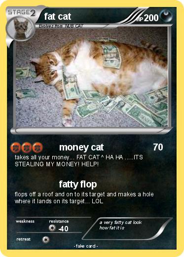 Pokemon fat cat
