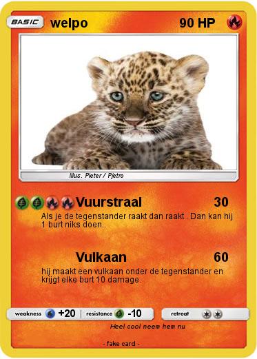 Pokemon welpo