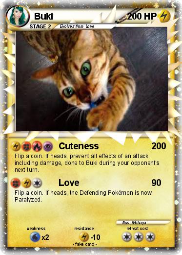 Pokemon Buki