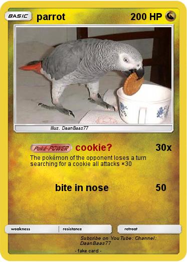 Pokemon parrot