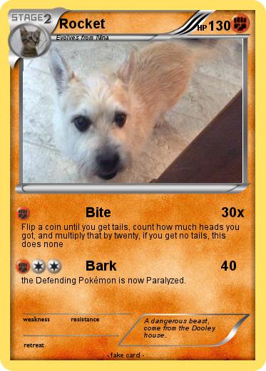 Pokemon Rocket