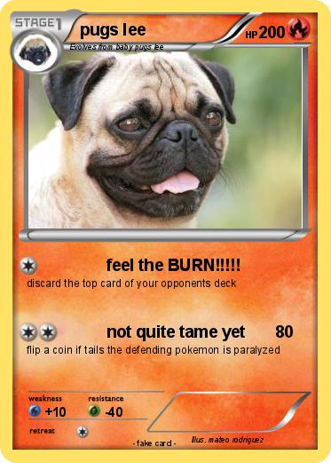 Pokemon pugs lee