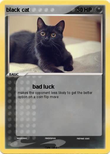 Pokemon black cat